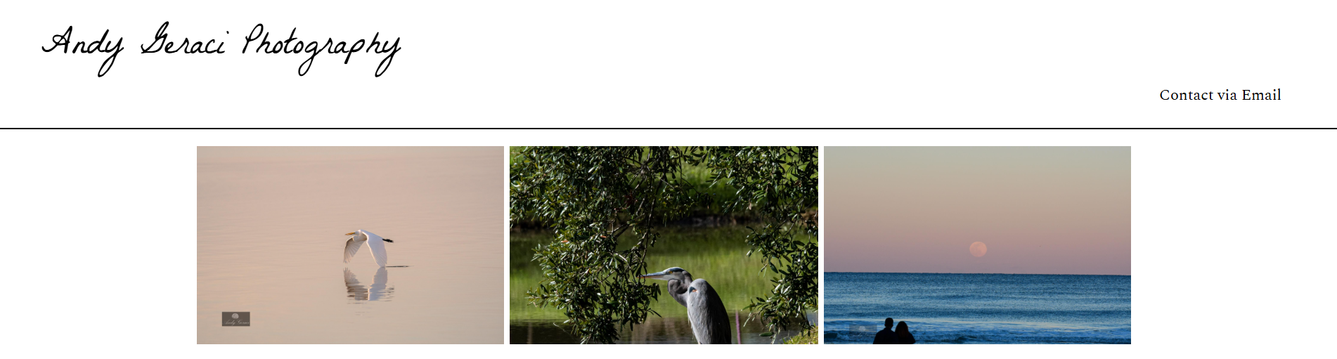 andy geraci photography